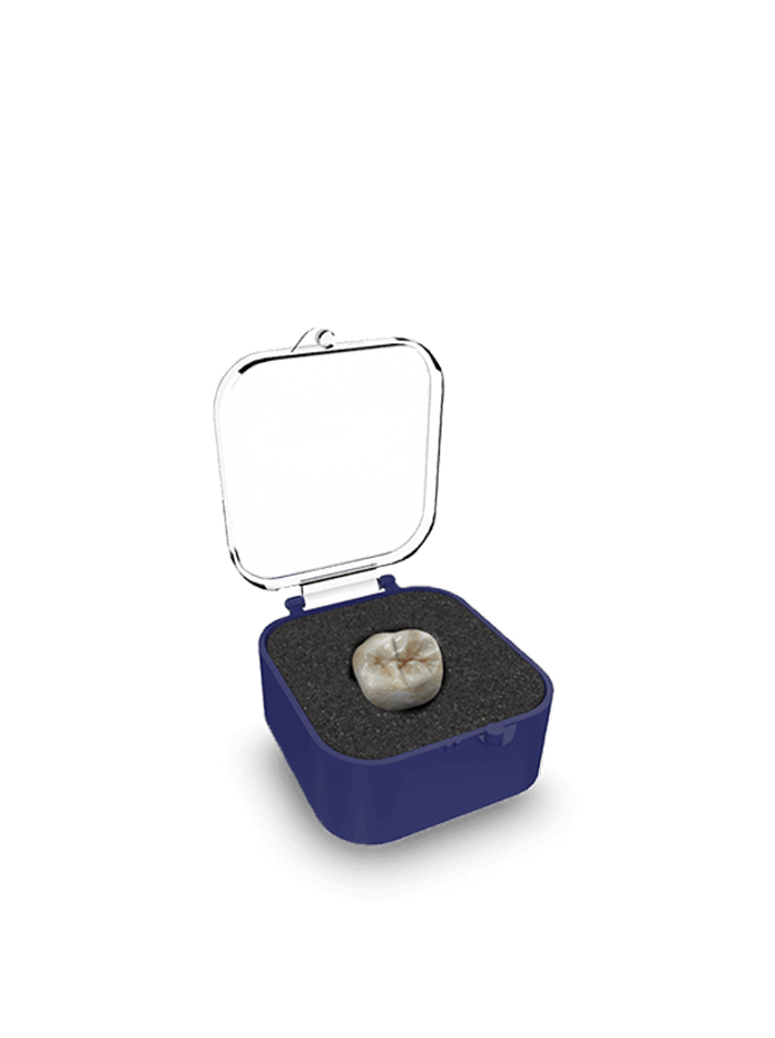 1" Rigid Crown Box (Rounded), Blue/Clear w/Pre-Packed Foam (Charcoal Grey)